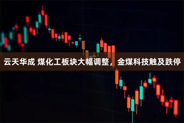 云天华成 煤化工板块大幅调整，金煤科技触及跌停
