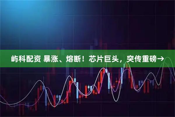 屿科配资 暴涨、熔断！芯片巨头，突传重磅→